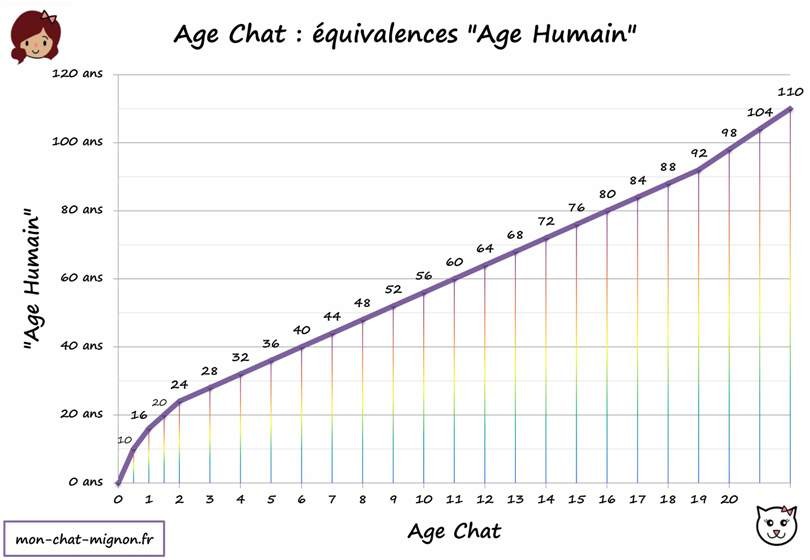 Age Chat Humain : Tableau des equivalences - calcul